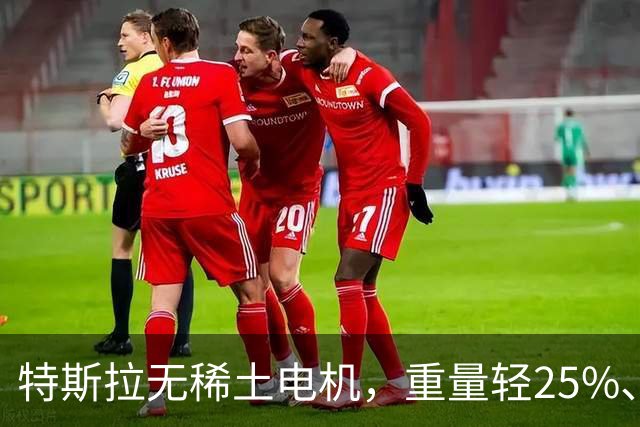 特斯拉无稀土电机，重量轻25%、续航不缩水，中国稀土牌不灵了？
